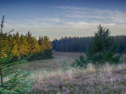 IMGP8313_HDR_Morgenstemning